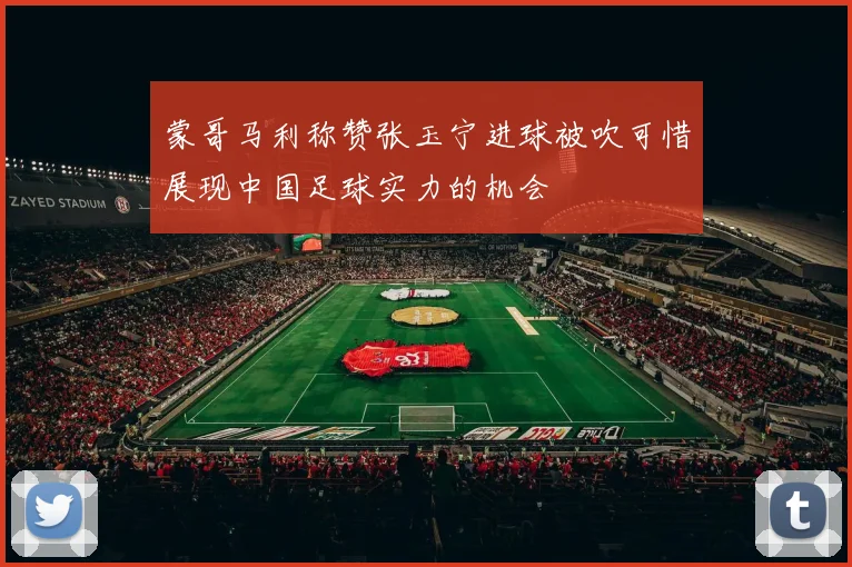 蒙哥马利称赞张玉宁进球被吹可惜展现中国足球实力的机会