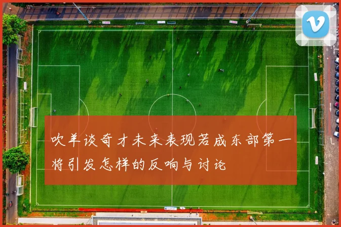 吹羊谈奇才未来表现若成东部第一将引发怎样的反响与讨论