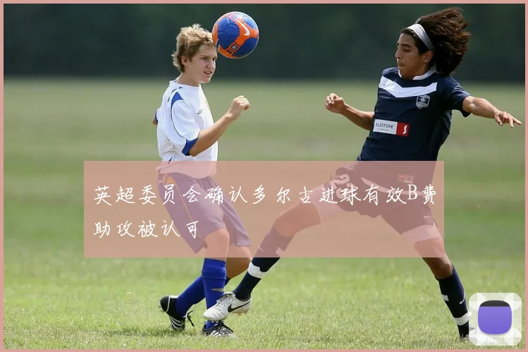 英超委员会确认多尔古进球有效B费助攻被认可